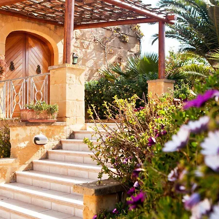 Orchidea * Ghasri (Gozo)