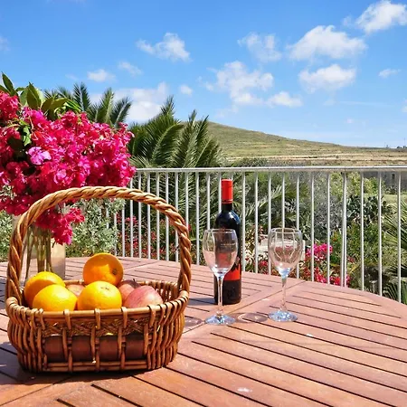 Orchidea * Ghasri (Gozo)