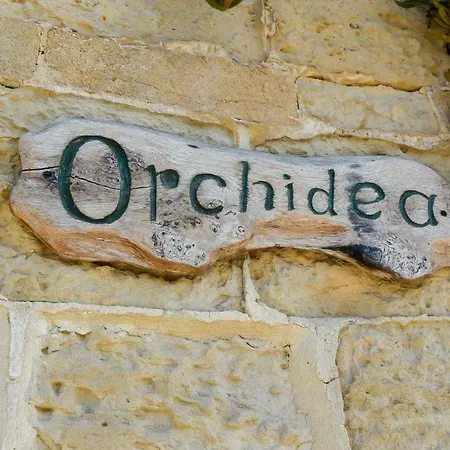 Villa Orchidea *