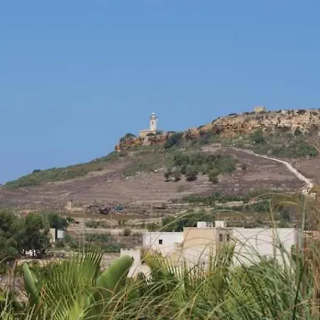 Orchidea * Ghasri (Gozo)